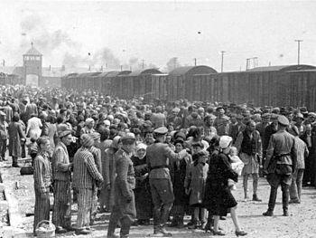 Thesis concentration camps